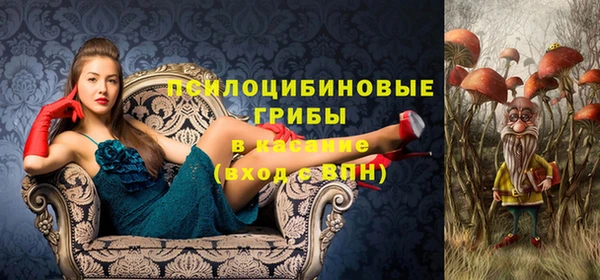 хмурый Армянск