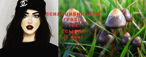 хмурый Армянск