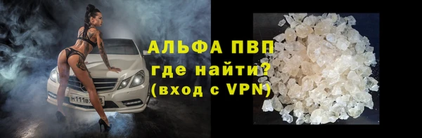 хмурый Зеленокумск