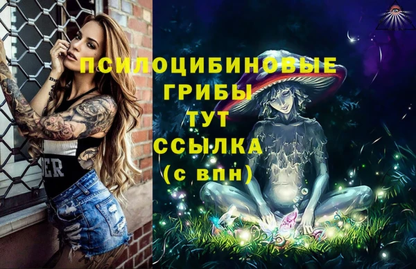 хмурый Армянск