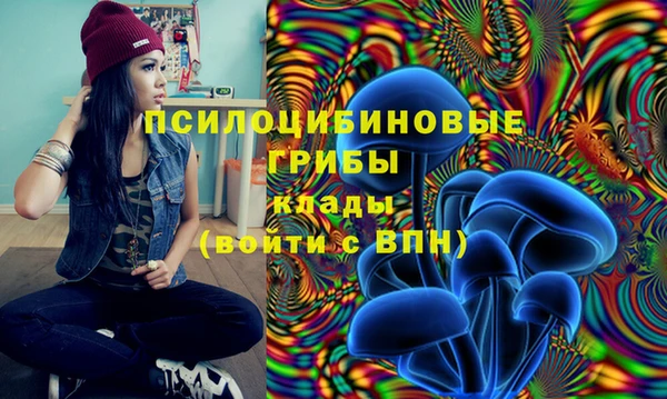 хмурый Армянск